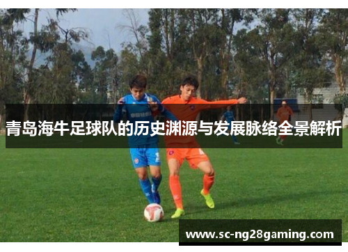 青岛海牛足球队的历史渊源与发展脉络全景解析
