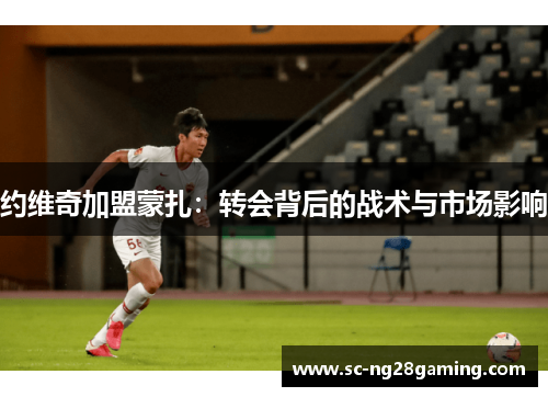 约维奇加盟蒙扎：转会背后的战术与市场影响