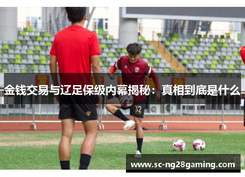 金钱交易与辽足保级内幕揭秘：真相到底是什么