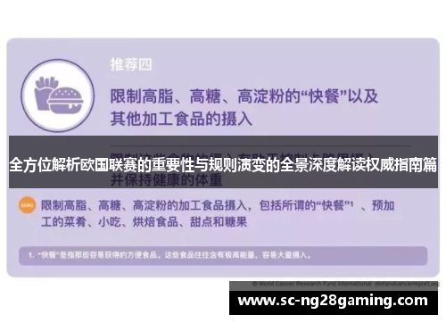 全方位解析欧国联赛的重要性与规则演变的全景深度解读权威指南篇 全方位解析欧国联赛的重要性与规则演变的全景深度解读权威指南篇