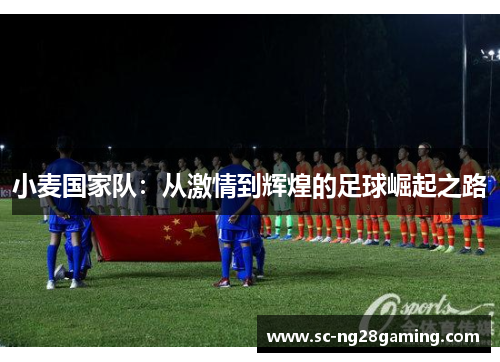 小麦国家队：从激情到辉煌的足球崛起之路